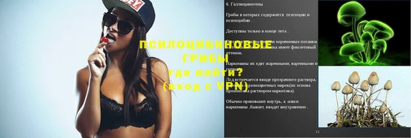 мяу мяу мука Абдулино