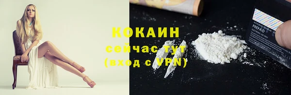 шишки Абинск