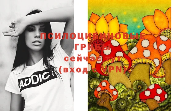 jwh Абаза