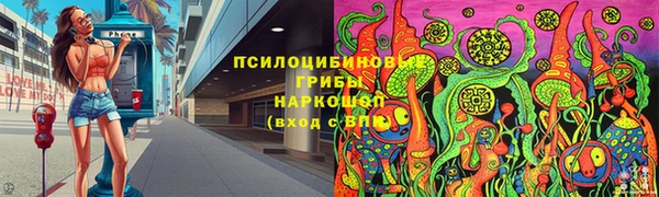 шишки Абинск