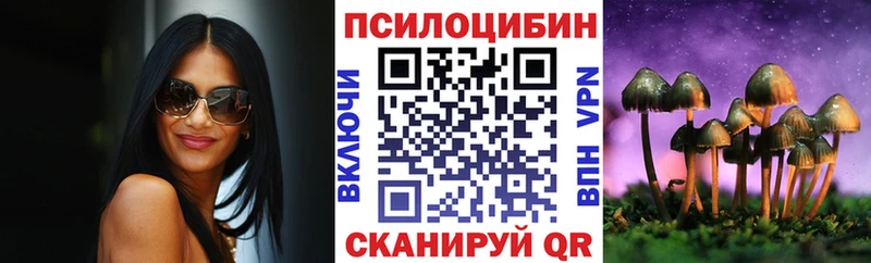 OMG онион  Иннополис  Псилоцибиновые грибы Cubensis 