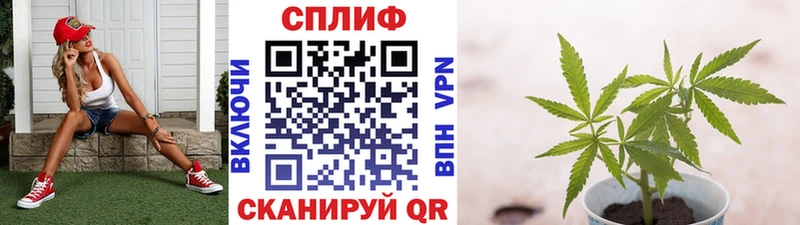 ссылка на мегу как войти  Иннополис  Канабис MAZAR  где продают наркотики 
